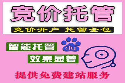 网络推广与竞价广告：双管齐下的策略案例